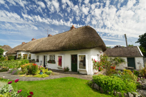thatched
