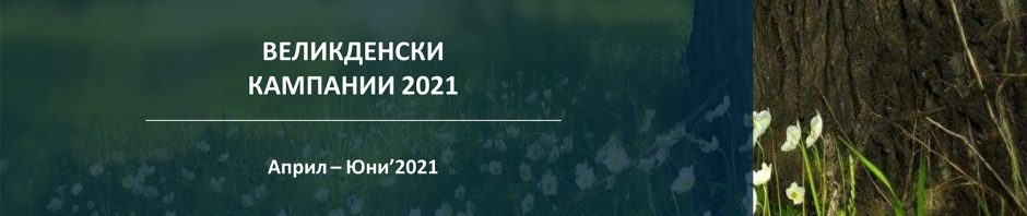 Великденска промоция на ДЗИ –  Застраховки Имущество и Живот с отстъпки 